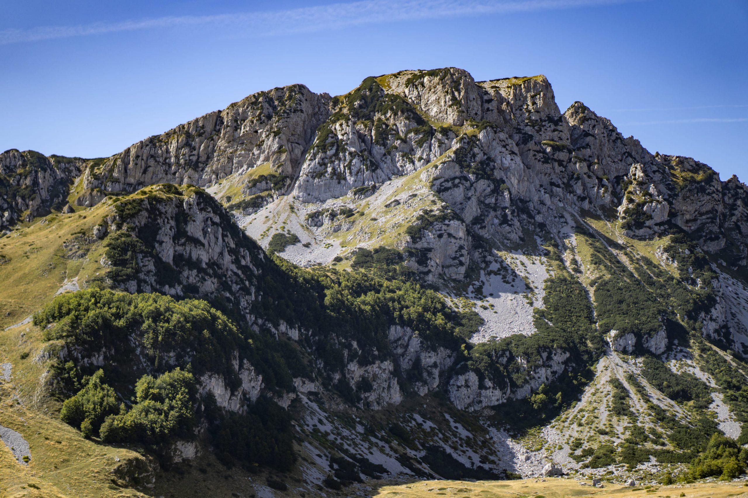 montenegro (8)