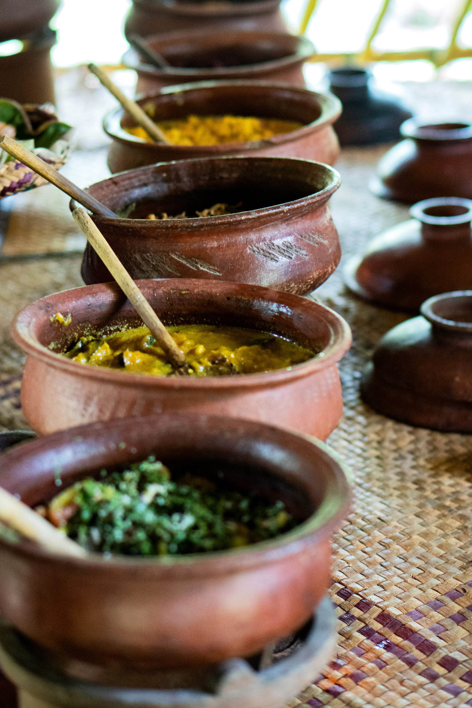sri lanka (7)